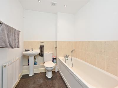 Picture 7